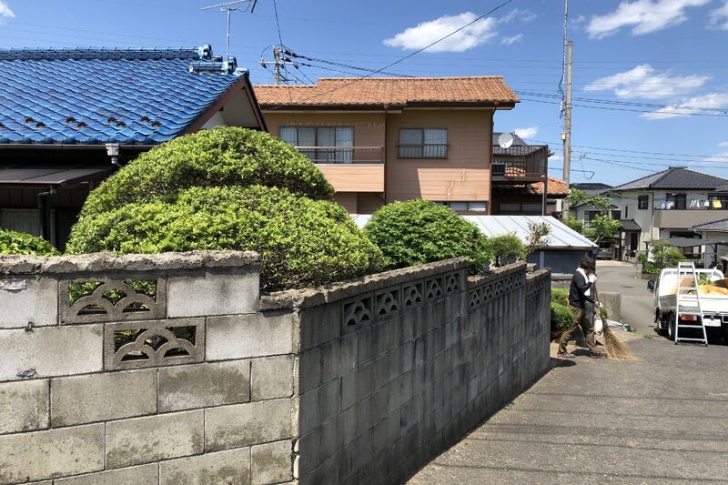 剪定