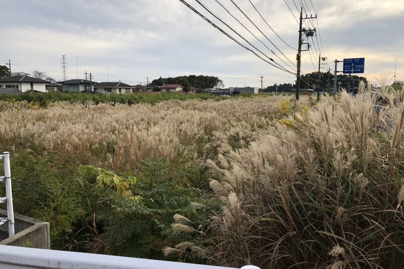草刈