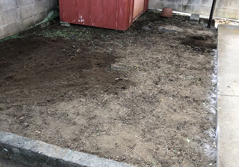 固まる砂