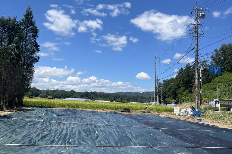 防草シート