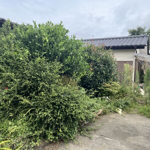 空き家