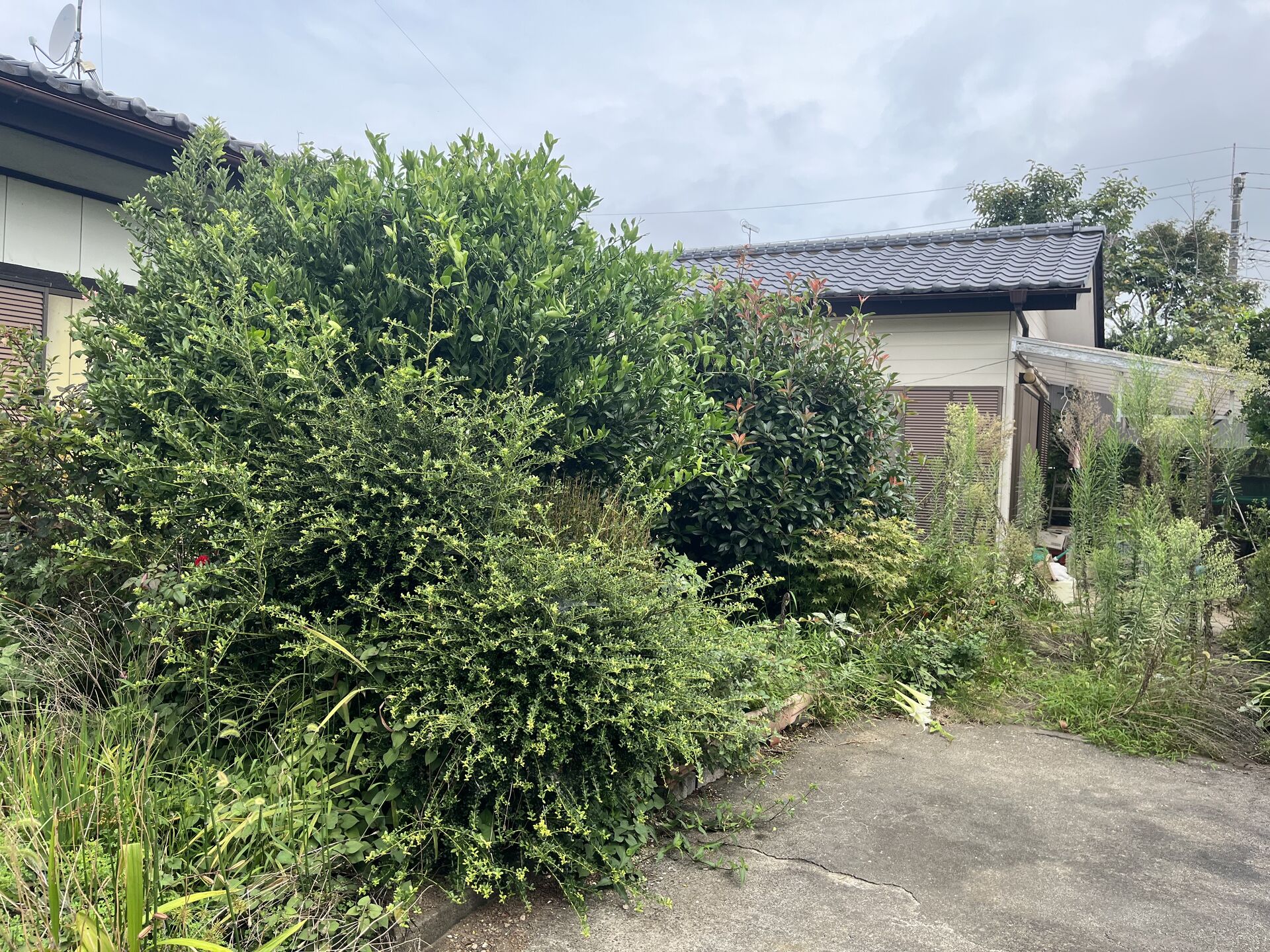 空き家の管理