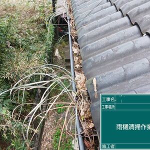 雨樋掃除