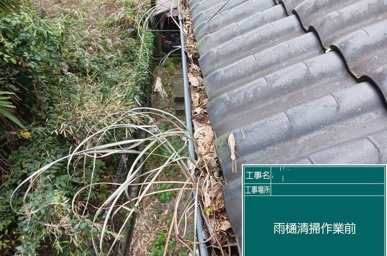 雨樋掃除