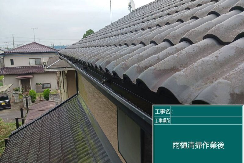 雨樋掃除