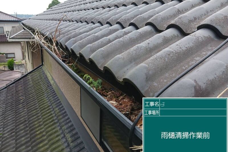 雨樋掃除